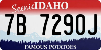 ID license plate 7B7290J