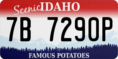 ID license plate 7B7290P