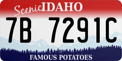 ID license plate 7B7291C