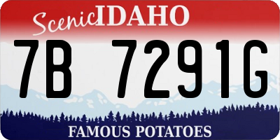 ID license plate 7B7291G