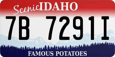 ID license plate 7B7291I