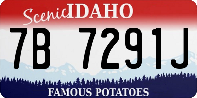 ID license plate 7B7291J