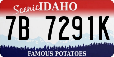 ID license plate 7B7291K