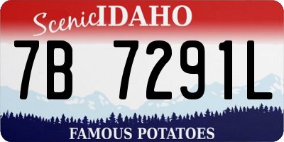 ID license plate 7B7291L