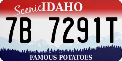ID license plate 7B7291T