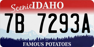 ID license plate 7B7293A
