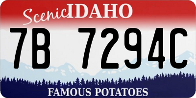 ID license plate 7B7294C