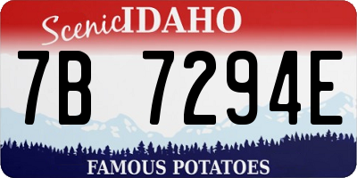 ID license plate 7B7294E