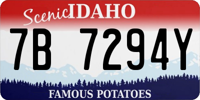 ID license plate 7B7294Y
