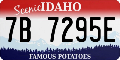 ID license plate 7B7295E