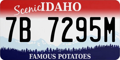 ID license plate 7B7295M