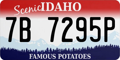 ID license plate 7B7295P