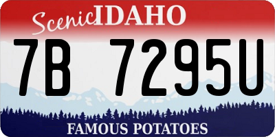 ID license plate 7B7295U