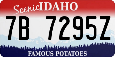 ID license plate 7B7295Z