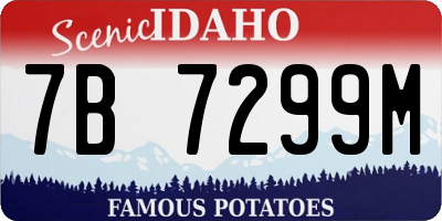 ID license plate 7B7299M