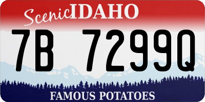 ID license plate 7B7299Q