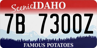 ID license plate 7B7300Z