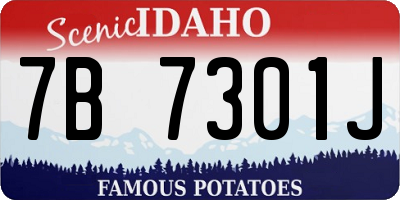 ID license plate 7B7301J