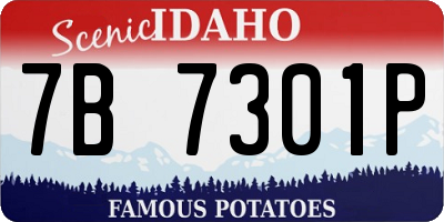 ID license plate 7B7301P
