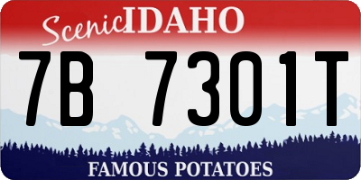 ID license plate 7B7301T