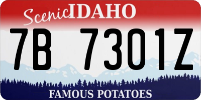 ID license plate 7B7301Z