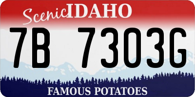 ID license plate 7B7303G