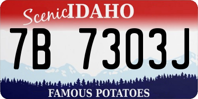 ID license plate 7B7303J