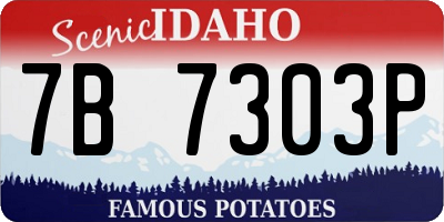 ID license plate 7B7303P