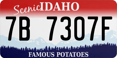ID license plate 7B7307F