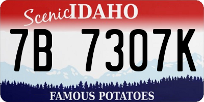 ID license plate 7B7307K