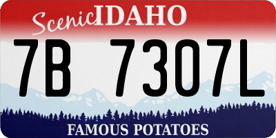 ID license plate 7B7307L