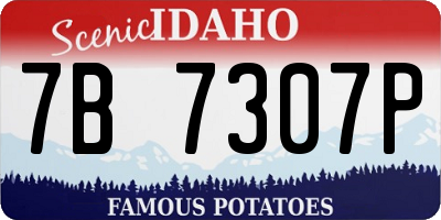 ID license plate 7B7307P
