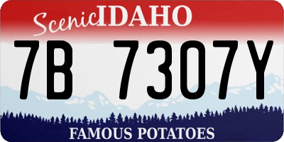 ID license plate 7B7307Y
