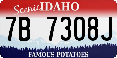 ID license plate 7B7308J