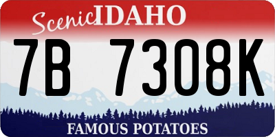 ID license plate 7B7308K