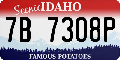 ID license plate 7B7308P