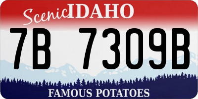 ID license plate 7B7309B