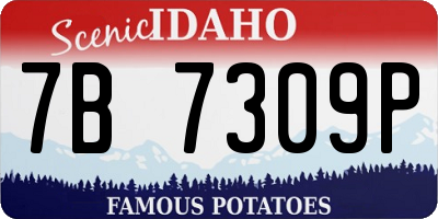 ID license plate 7B7309P