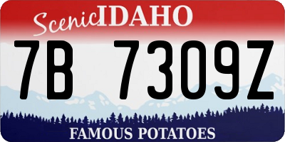 ID license plate 7B7309Z