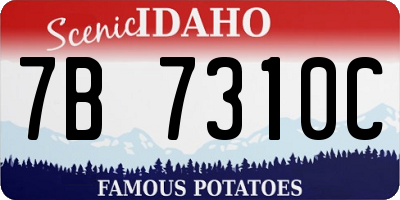ID license plate 7B7310C