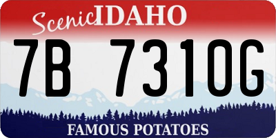 ID license plate 7B7310G