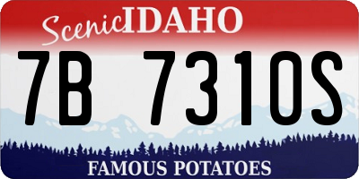 ID license plate 7B7310S