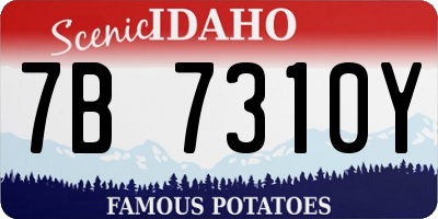 ID license plate 7B7310Y