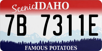 ID license plate 7B7311E