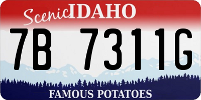 ID license plate 7B7311G