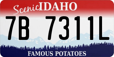 ID license plate 7B7311L