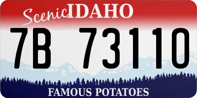 ID license plate 7B7311O