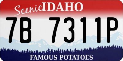 ID license plate 7B7311P