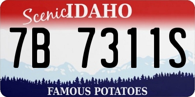 ID license plate 7B7311S