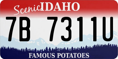 ID license plate 7B7311U